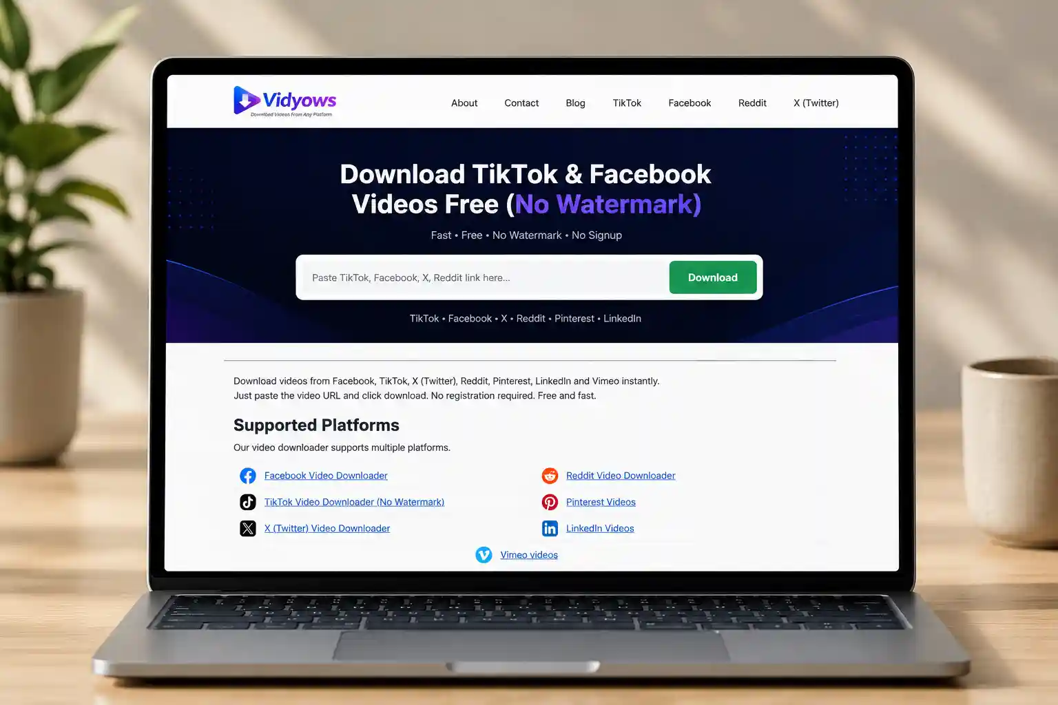 Vidyows video downloader website shown on a laptop